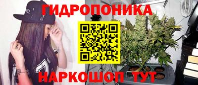 бошки Обь