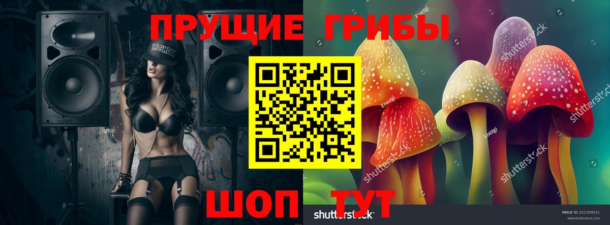 продажа наркотиков  Псилоцибиновые грибы ЛСД  Вход с VPN  Пыть-Ях 