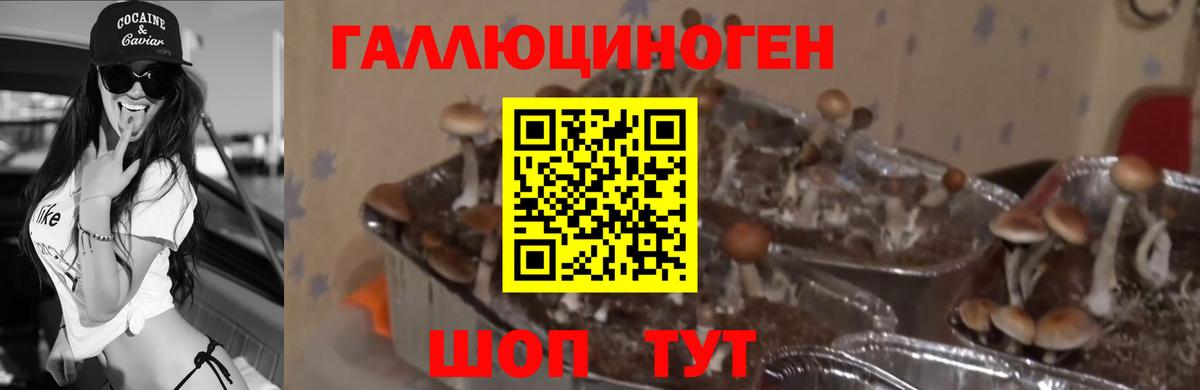 Псилоцибиновые грибы Magic Shrooms Пыть-Ях